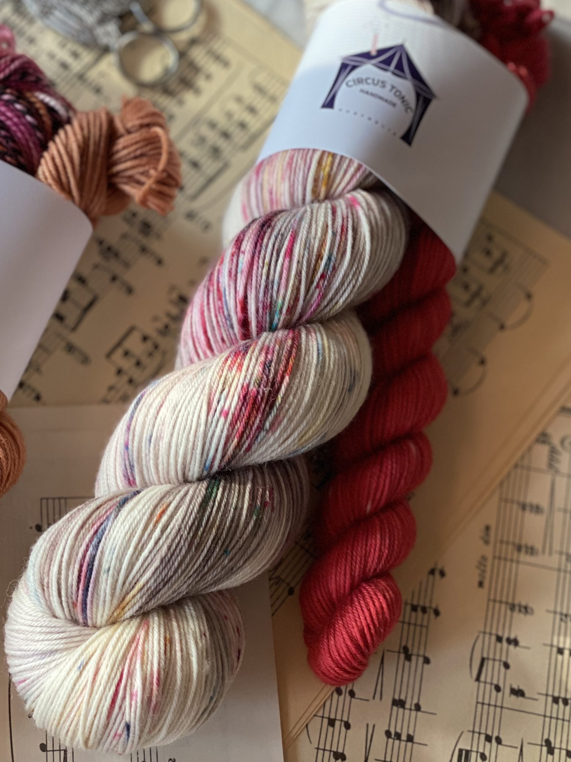 Holly Day Jubilee Sock Set Circus Tonic Handmade