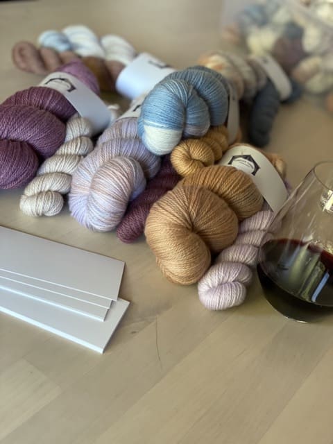 Bluey Homeward Sport SRS Merino Sock Set - Image 6