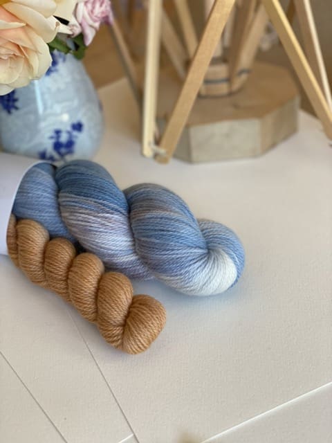 Bluey Homeward Sport SRS Merino Sock Set