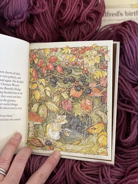 Brambly Hedge Autumn Story Binding Box - Image 4