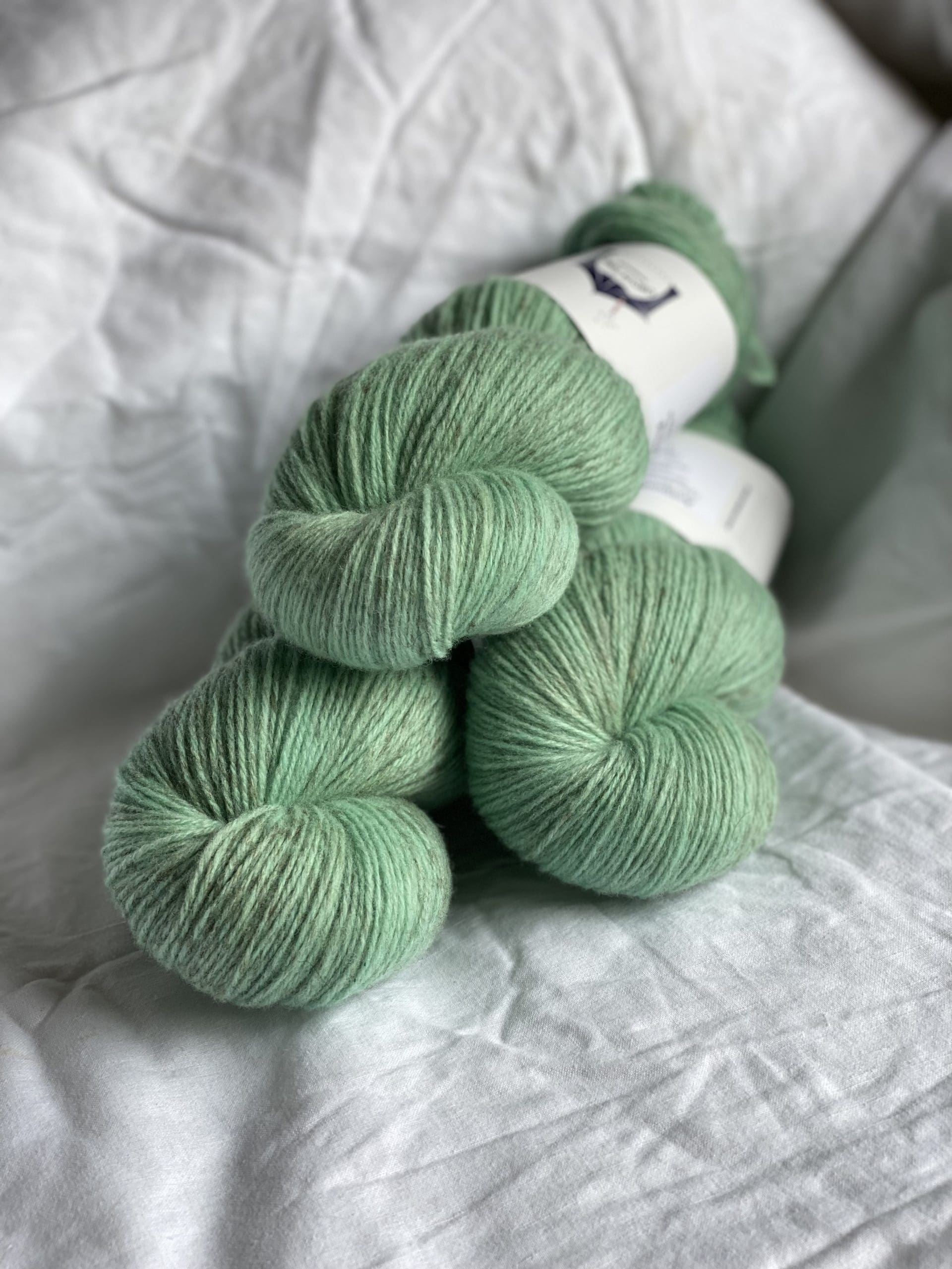 Spearmint Antipodes Merino Arapawa Fingering