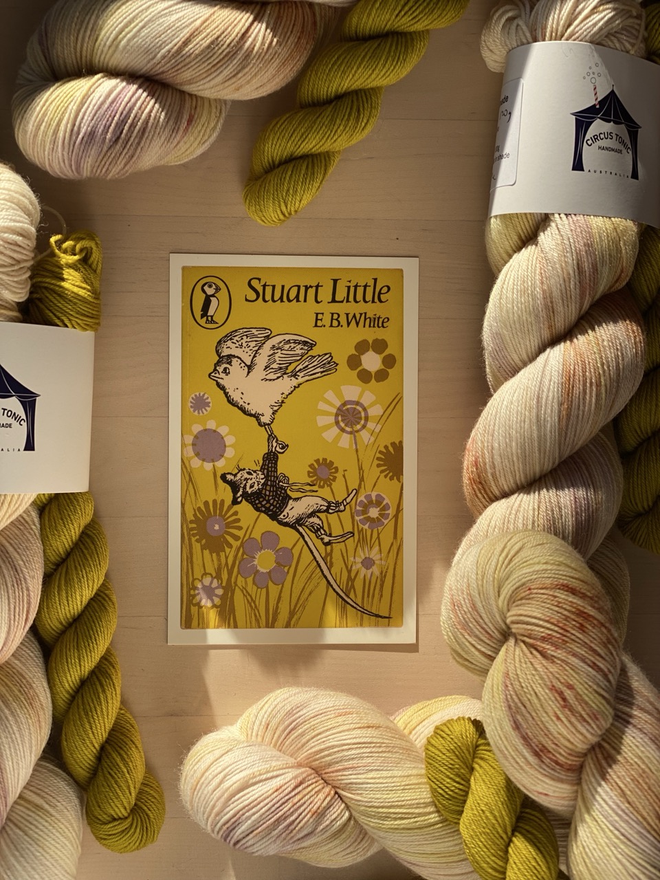 Stuart Little Sock Set